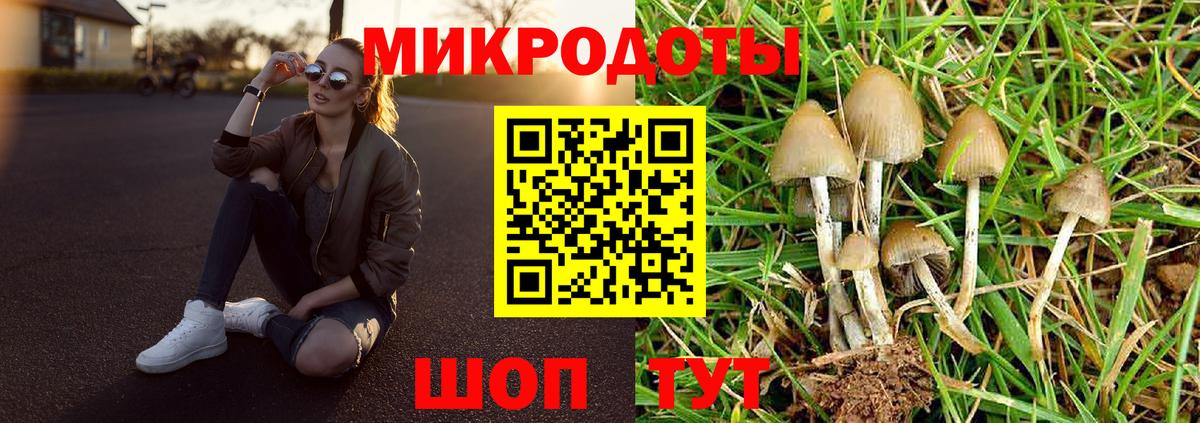Галлюциногенные грибы мицелий  Галлюциногенные грибы прущие грибы  Вход с VPN  Стерлитамак 